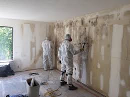 Best Forensic Mold Investigation in Leipsic, OH